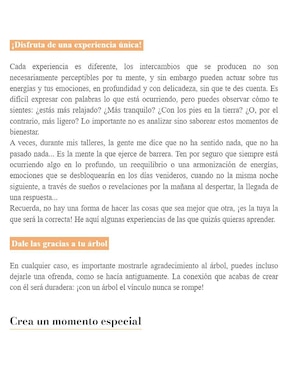 Libro Árboles que curan el cuerpo, el corazón y el espíritu de Florence Laporte