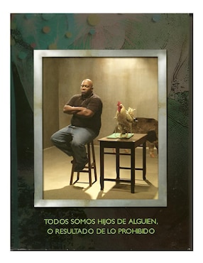 Hijos del Carnaval Serie DVD estándar