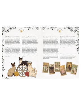 Libro El Tarot de Los Gatos: Manual y Baraja de 78 cartas de Catherine Davidson