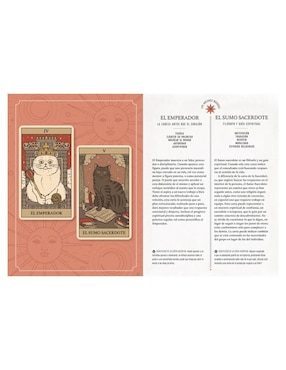 Libro El Tarot de Los Gatos: Manual y Baraja de 78 cartas de Catherine Davidson