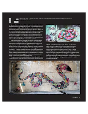 Libro Atlas Mundial del Street Art de Lachlan MacDowall y Rafael Schacter