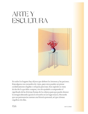 Libro Feng Shui Moderno de Cliff Tan / Dura Lee
