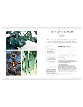 Libro Aceites Esenciales de Gill Farrer-Halls