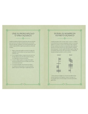 Libro Misticismo Celta de Tracie Long