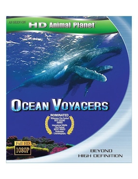 Ocean Voyagers Estándar