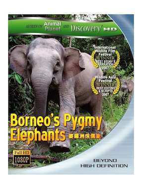 Borneo's Pygmy Elephants Estándar