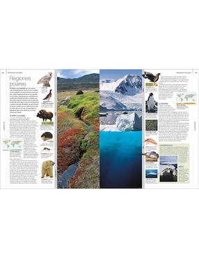 Libro ANIMAL
de DK