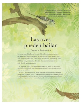 Libro ¿Qué Se Siente Al Ser Un Ave? de Tim Birkhead / Catherine Rayner