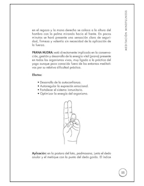 Libro Meditación Mindfulness: El camino hacia la felicidad de Luis Álvarez