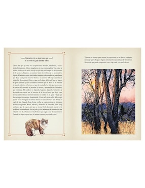 Libro La Magia de Los Gatos de Rieka Moonsong