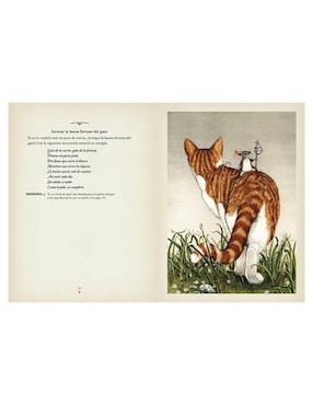 Libro La Magia de Los Gatos de Rieka Moonsong