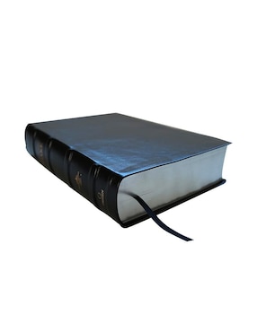Libro Rvr 1960 Biblia de Estudio Dake Piel Negra de Reina Valera