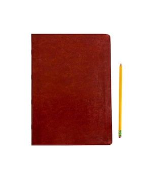Libro Rvr 1960 Biblia de Estudio Dake Piel Marrón de Reina Valera