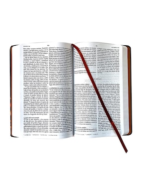 Libro Biblia Rvr 1960 de Reina Valera