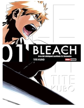 Manga Bleach Remix No. 1