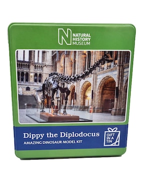 Rompecabezas Dinosaurios prehistóricos Idea Diseño 40 piezas