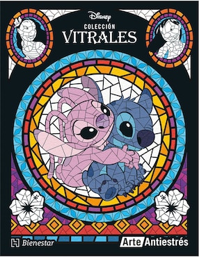 Vitrales Stich De Graciela Iniestra