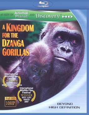 A Kingdom For Dzanga Gorillas (BD)