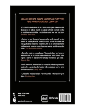 Libro Más allá del orden de Jordan B. Peterson