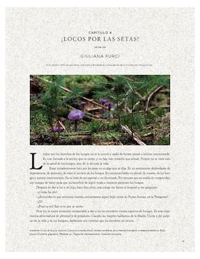 Libro Hongos fantásticos de Paul Stamets y Louie Schawartzberg