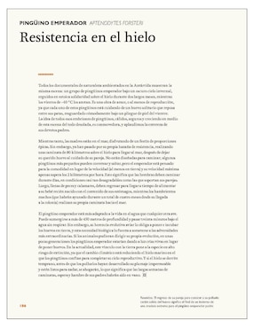 Libro La Mente Animal de Marianne Taylor