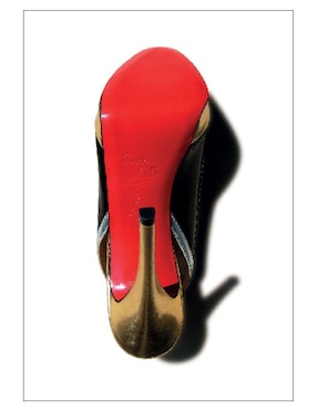 Pequeño Libro de Christian Louboutin de Darla-Jane Gilroy