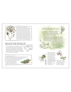 Libro La magia de las semillas de Clare Gogerty