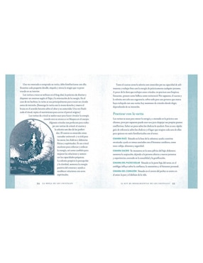 Libro La bruja de los cristales de Shawn Robbins/Leanna Greenaway