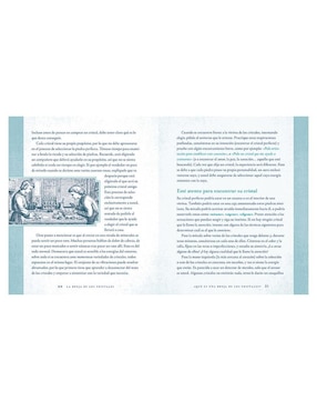 Libro La bruja de los cristales de Shawn Robbins/Leanna Greenaway