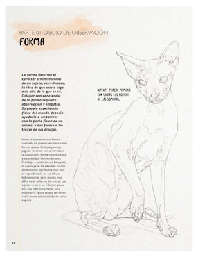 Cuando haya leído este libro ¡sabrá dibujar animales! de Jake Spicer/Lancelot Richardson