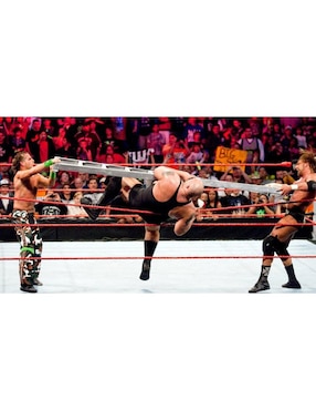 WWE TLC: Tables, Ladders and chairs 2009 evento en DVD estándar