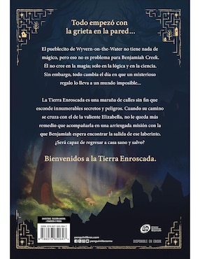 Libro Los Murmuradores 1 - El Laberinto De Lo Perdido y Lo Encontrado de Jordan Lees, Vivienne