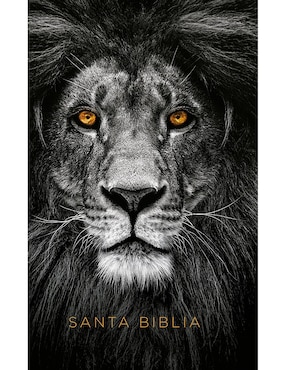 Libro Biblia León Simil Piel de Varios