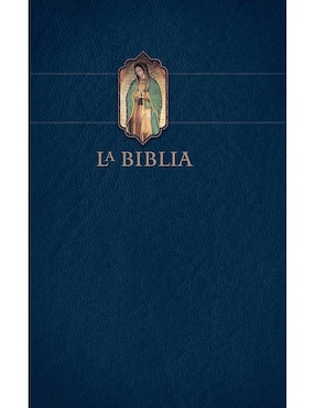 Libro Biblia Católica Letra Grande de Varios