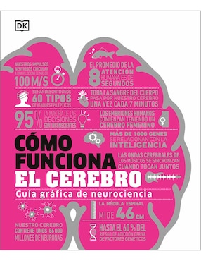 Cómo Funciona El Cerebro De Dorling Kindersley