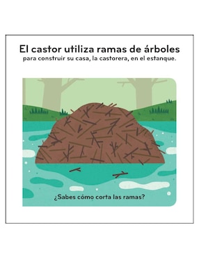 Libro Primeros Descubrimientos. Casitas de los Animales de Ella Bailey