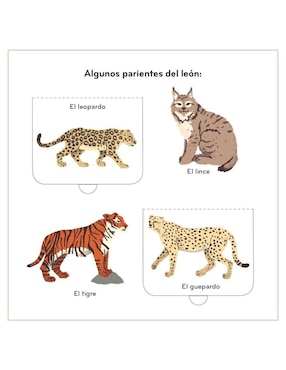 Libro Primeros Descubrimientos. Animales Salvajes de Clemence Dupont