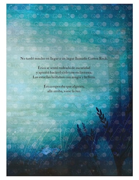 Libro Luces en Cotton Rock de David Litchfield