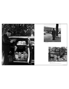 Libro Doisneau. Paris de Robert Doisneau