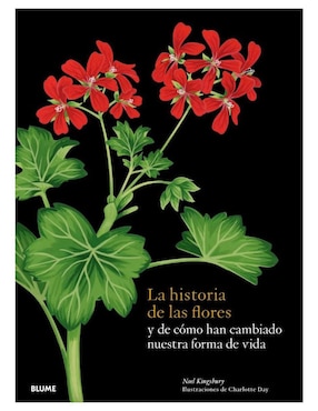 Historia De Las Flores De Noel; Day Kingsbury