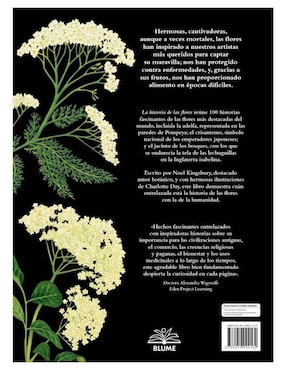 Libro Historia de Las Flores de Noel; Day Kingsbury