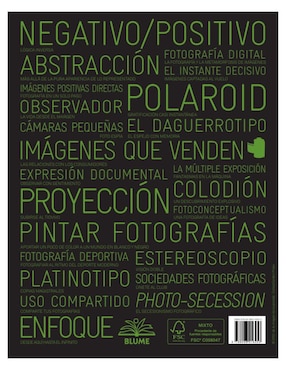 Libro 100 ideas que cambiaron la fotografía de Mary Warner Marien