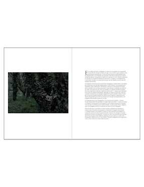 Libro El jardín de Alessandro Imbriaco