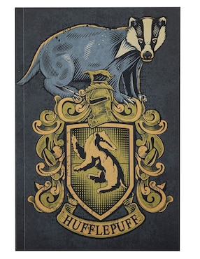 Libreta Paldone Harry Potter a rayas