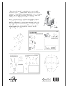 Libro Guía completa dibujo. anatomía, modelos, figuras y poses. cuaderno de ejercicios