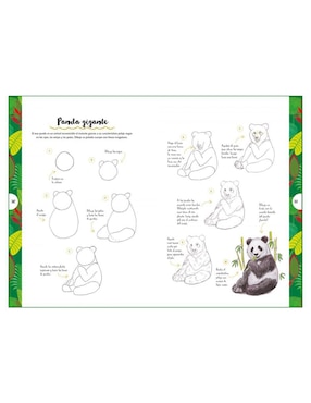 Libro Dibujar Animales En 10 Pasos de Heather Kilgour