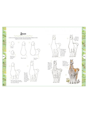 Libro Dibujar Animales En 10 Pasos de Heather Kilgour