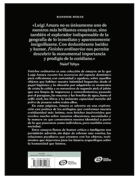 Libro Fetiches ordinarios de Luigi Amara