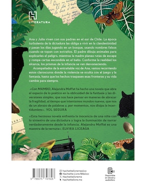 Libro Mambo de Alejandra Moffa