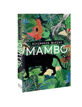 Libro Mambo de Alejandra Moffa